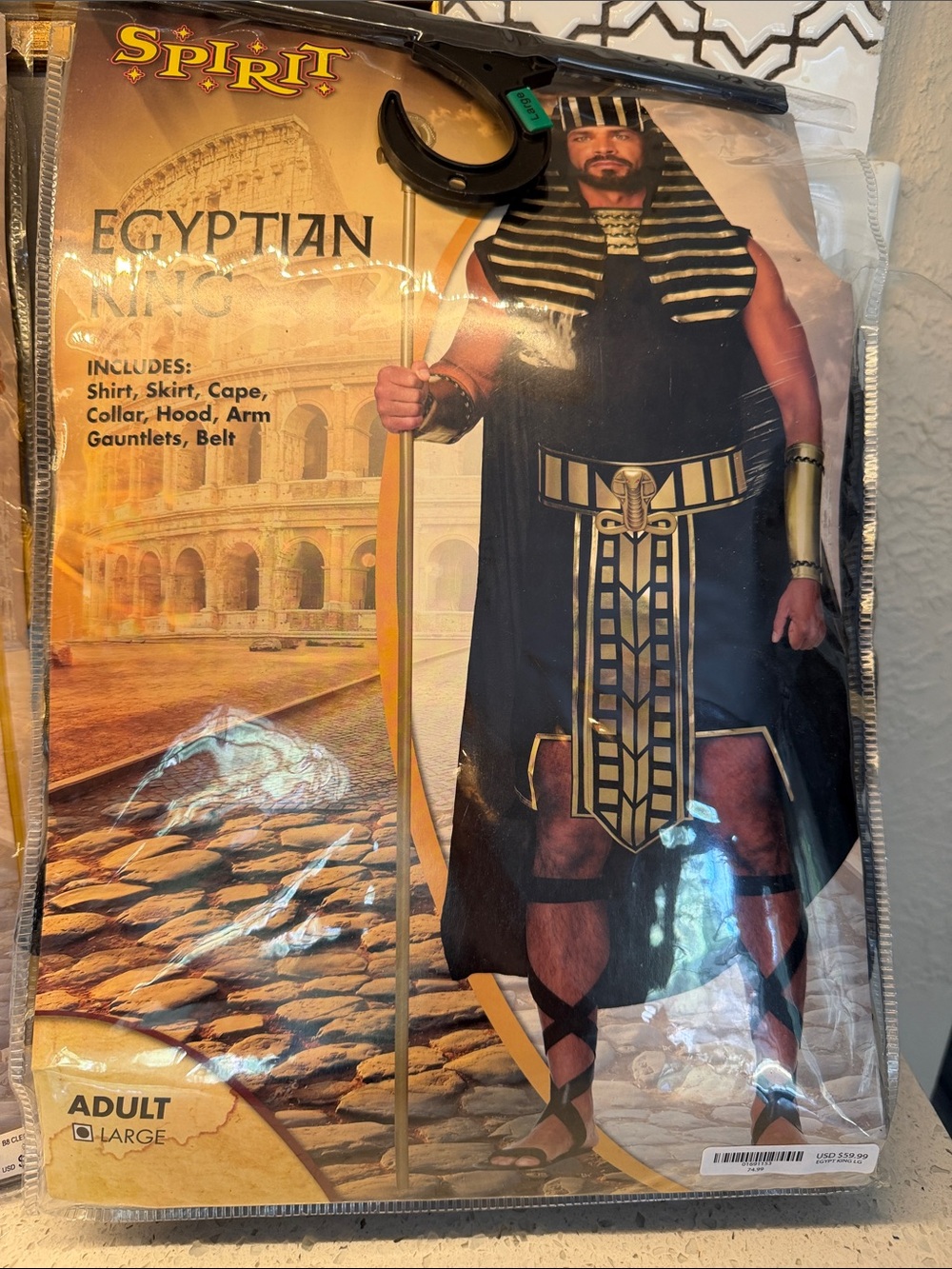 Spirit Egyptian King Costume - Black and Gold Adult